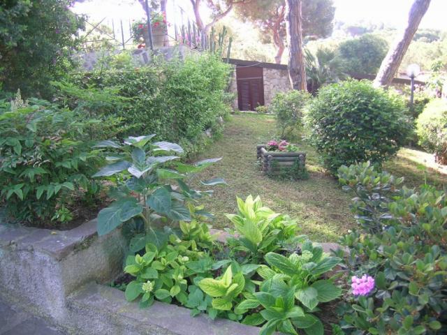 appartamento vacanze Elba